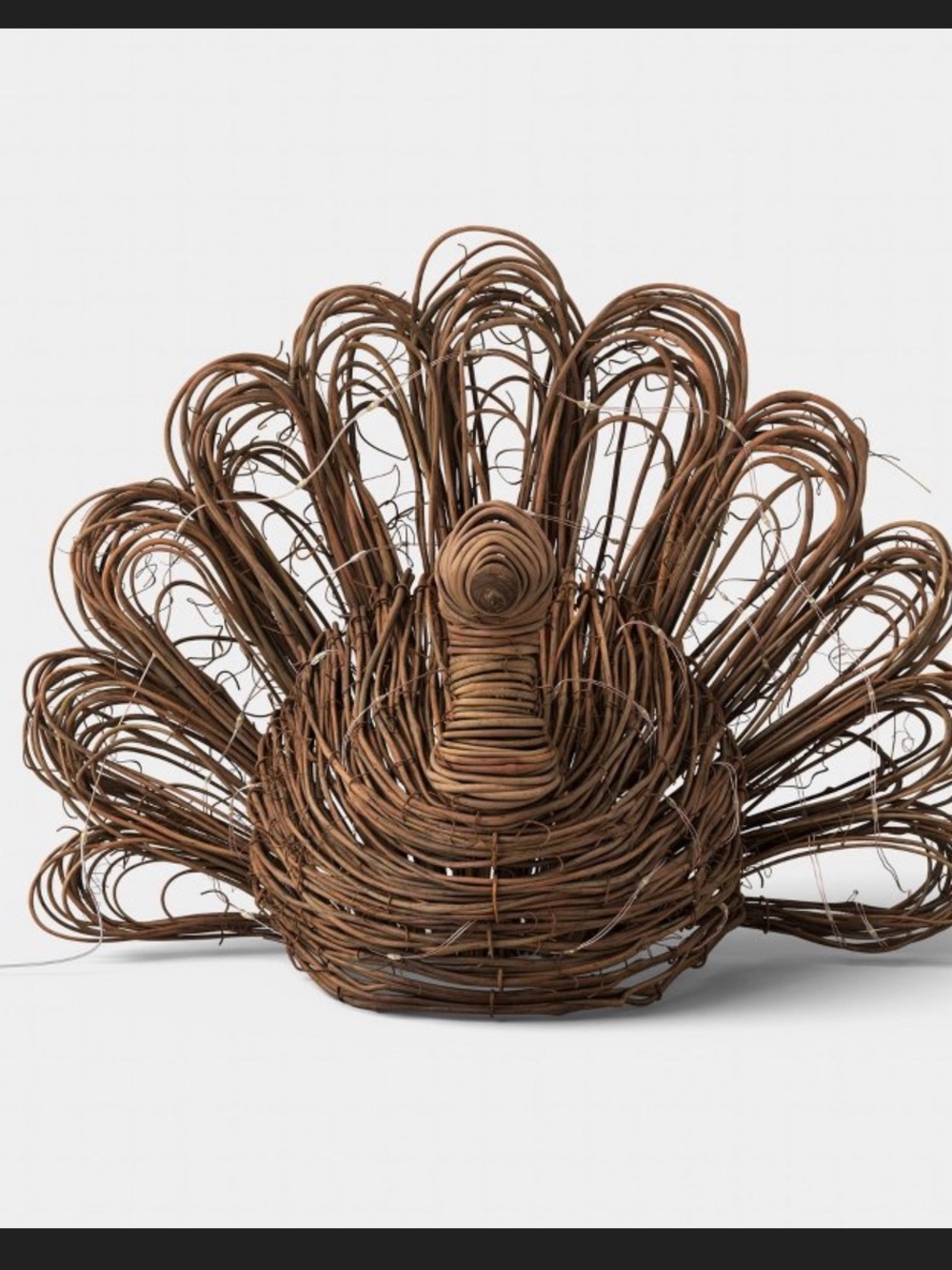 Large Woven Lit Fall Turkey
- Threshold™